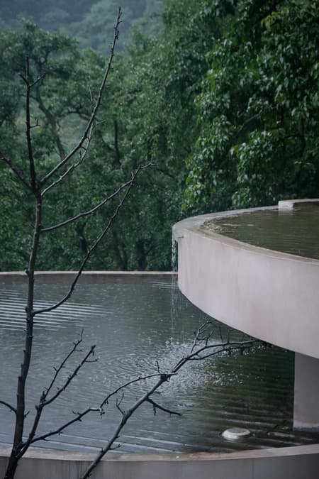 Buzzy Sunny· Feixue Pavilion